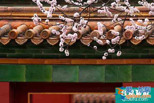 故宮門票多少錢 淡季旺季區別不大還有半價優惠? 故宮門票多少錢 淡季旺季區別不大還有半價優惠?