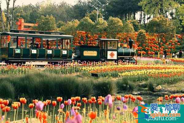 2022武漢春節活動有哪些 附活動時間及地點？