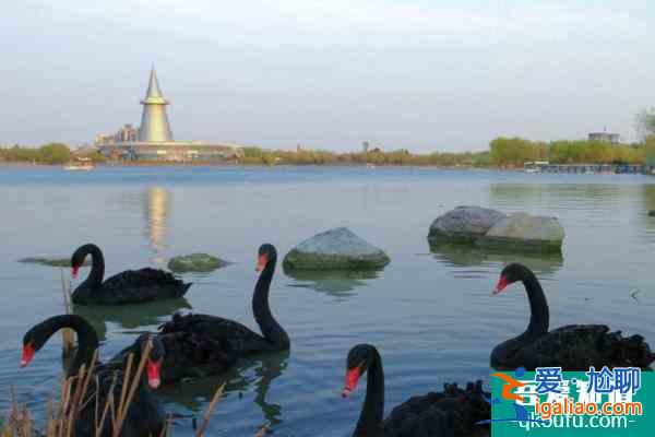 鄭州綠博園現在開放嗎2021 鄭州綠博園將于12月1日恢復開放? 鄭州綠博園現在開放嗎2021 鄭州綠博園將于12月1日恢復開放?