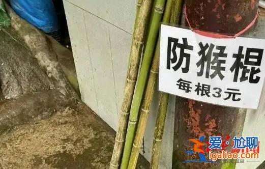 將繼續推進“人猴分離”？