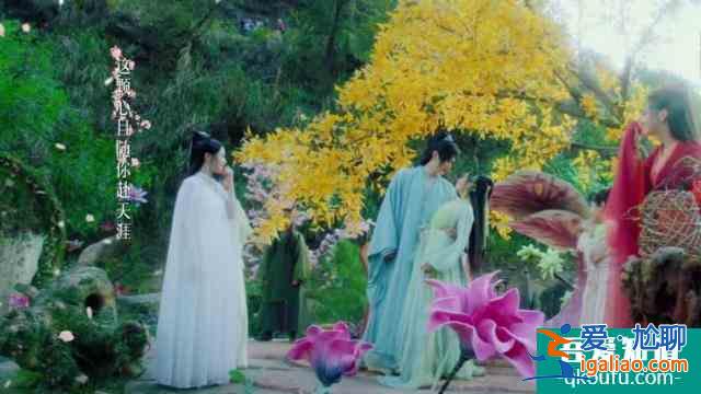 親愛的藥王大人：板藍根帶你追夫，何老師幫忙宣傳，一口氣追完？