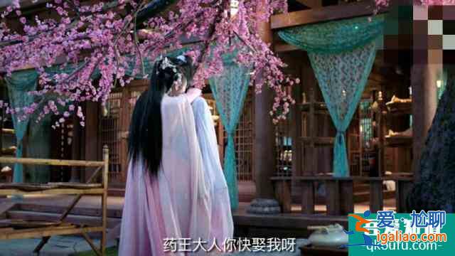 親愛的藥王大人：板藍根帶你追夫，何老師幫忙宣傳，一口氣追完？