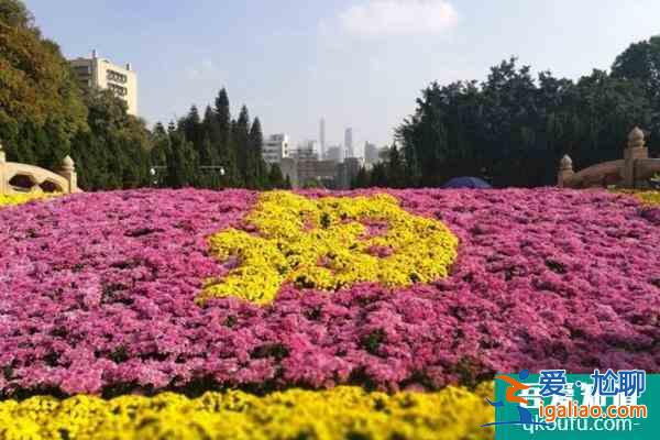 2021廣州黃花崗菊花展舉辦時間？