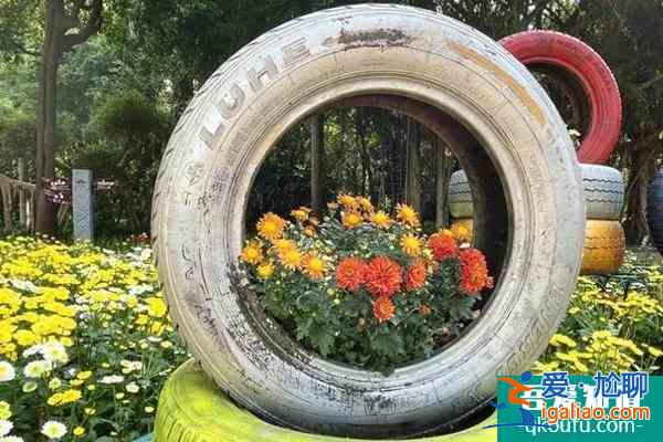 2021青秀山菊花展舉辦時(shí)間及地址？