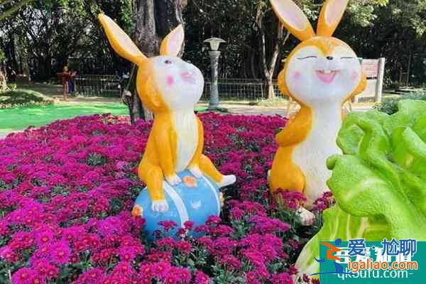 2021青秀山菊花展舉辦時(shí)間及地址？