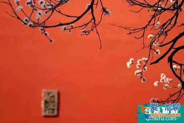 故宮年票2022多少錢 北京故宮年票購買指南？