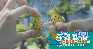 等“顧佳手撕小三”的我懵了，為何《三十》不給我們想看的結局？？