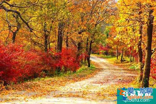 南京旅游好玩的景點推薦？