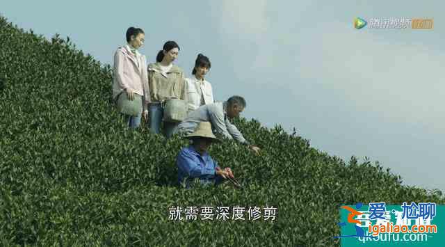 《三十而已》把最想說的藏在3位老人話里,字字斷舍離句句戳人心? 《三十而已》把最想說的藏在3位老人話里,字字斷舍離句句戳人心?