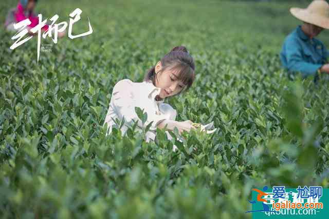 《三十而已》把最想說的藏在3位老人話里,字字斷舍離句句戳人心? 《三十而已》把最想說的藏在3位老人話里,字字斷舍離句句戳人心?