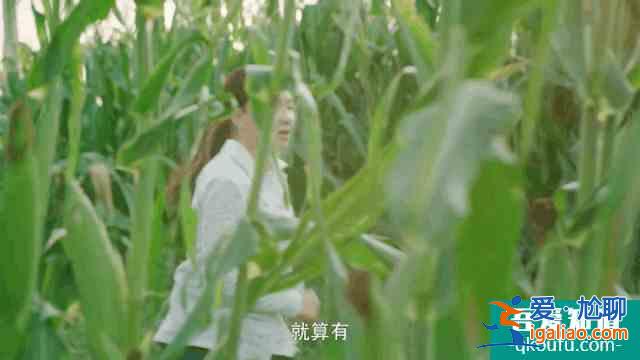 《楓葉紅了》提檔播出，孫茜用“劇拋臉”演技扛起了央視大女主？