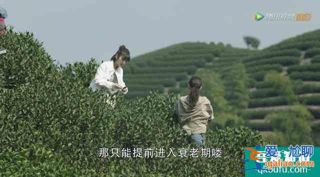 《三十而已》把最想說的藏在3位老人話里,字字斷舍離句句戳人心? 《三十而已》把最想說的藏在3位老人話里,字字斷舍離句句戳人心?