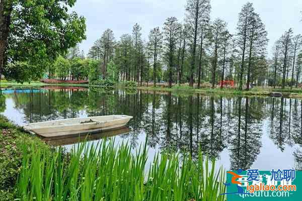 東湖風(fēng)景區(qū)旅游攻略 搞清楚7條線暢玩整個東湖？