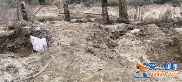 鋰都宜春被爆盜采鋰礦亂象 碳酸鋰價格有望止跌回升? 鋰都宜春被爆盜采鋰礦亂象 碳酸鋰價格有望止跌回升?