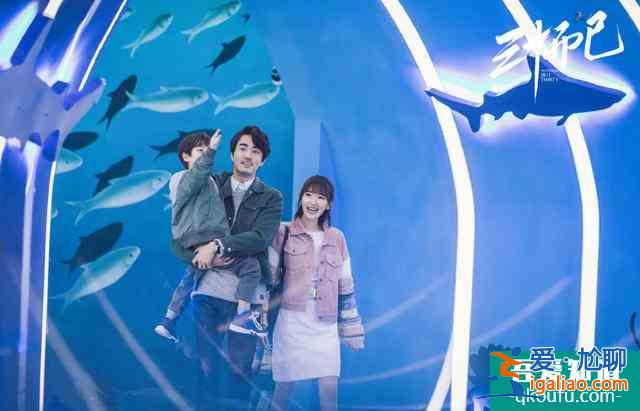 《三十而已》:扒一扒鐘曉芹的“躺贏”人生? 《三十而已》:扒一扒鐘曉芹的“躺贏”人生?