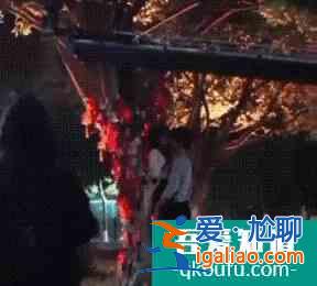 《以家人之名》受追捧，但劇本需規(guī)避一個(gè)隱患，才能力爭(zhēng)今夏爆款？