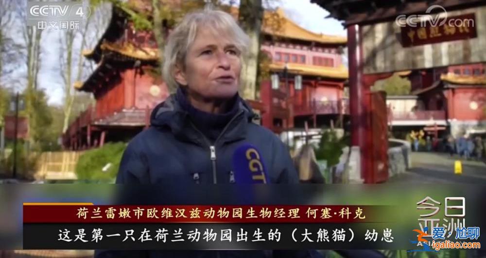 除皮膚病導致的毛發脫落外 食欲良好？