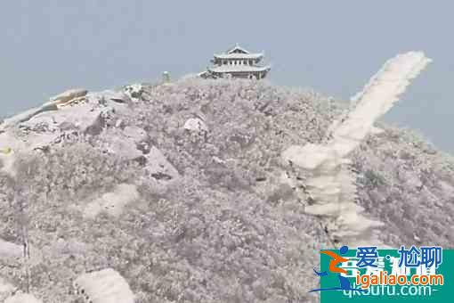 2022金頂山風景區6.9元門票獲取攻略？
