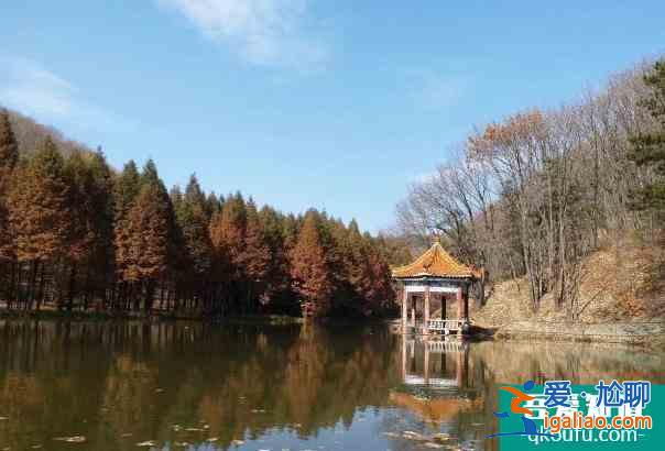 2021洛陽A級景區開放情況匯總? 2021洛陽A級景區開放情況匯總?