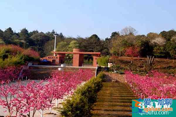 南昌灣里磨盤山森林公園特色玩法? 南昌灣里磨盤山森林公園特色玩法?