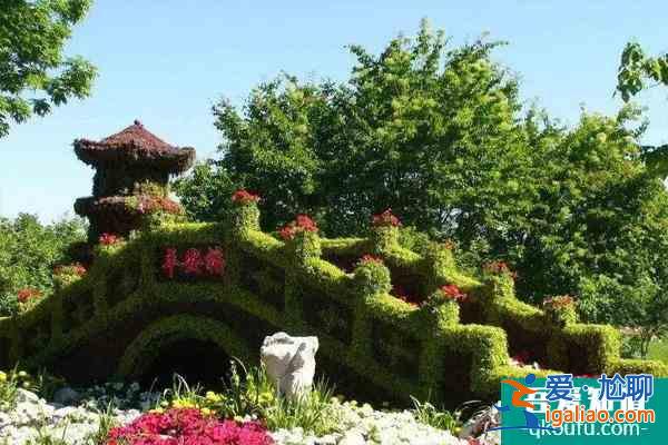 12月1日起烏魯木齊植物園免費對外開放的通知？
