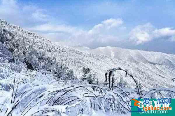 2021秦嶺四季滑雪場門票多少錢？