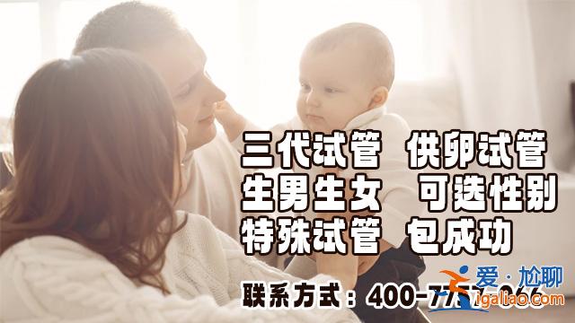 陸毅三胎?鮑蕾三胎?？