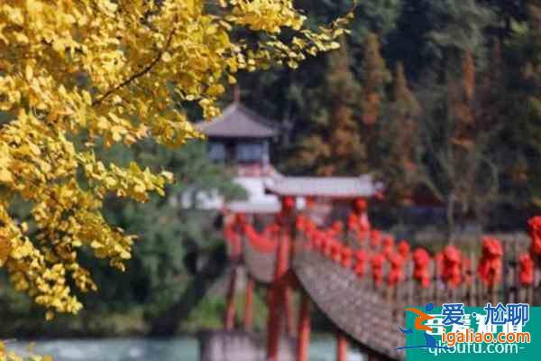 2021青城山都江堰景區門票優惠政策？