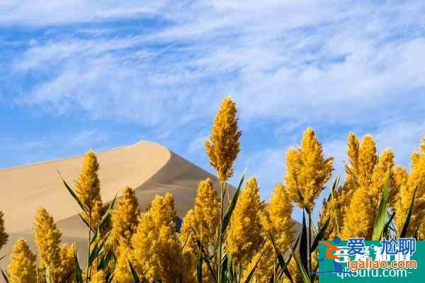 11月24日起月牙泉景區、玉門關景區、雅丹景區、敦煌博物館恢復開放？