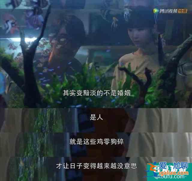 《三十而已》：陳嶼180度大轉變，挽救婚姻他只做到了這一點？