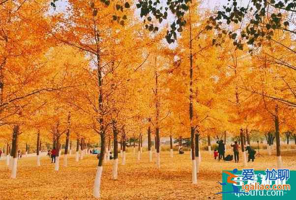 2021因籌辦冬奧會北京奧林匹克公園中心區暫時關閉？
