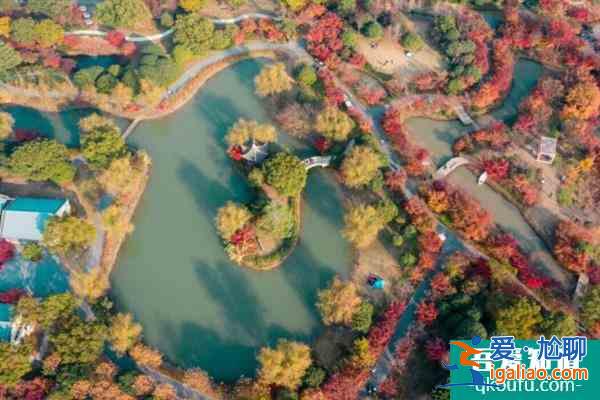2021花開(kāi)海上生態(tài)園楓葉最佳觀賞時(shí)期？