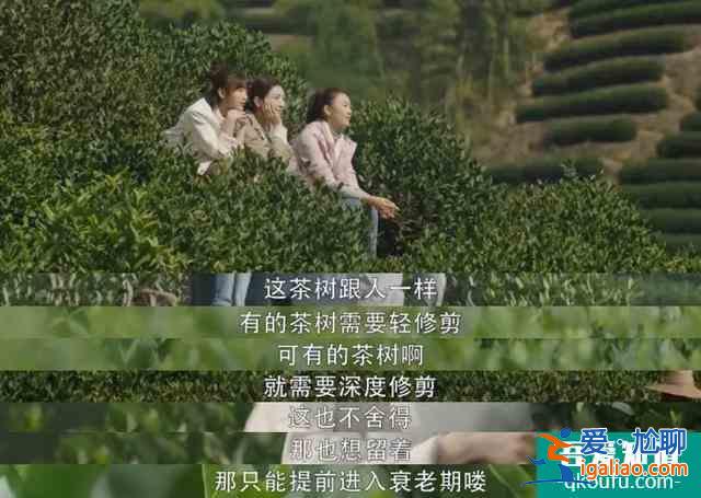 《三十而已》大結局:誰是最可悲的人?? 《三十而已》大結局:誰是最可悲的人??