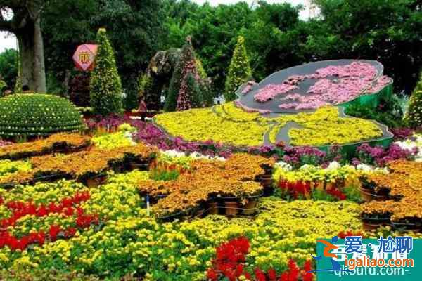 2021中山小欖菊花展最新疫情防控措施？