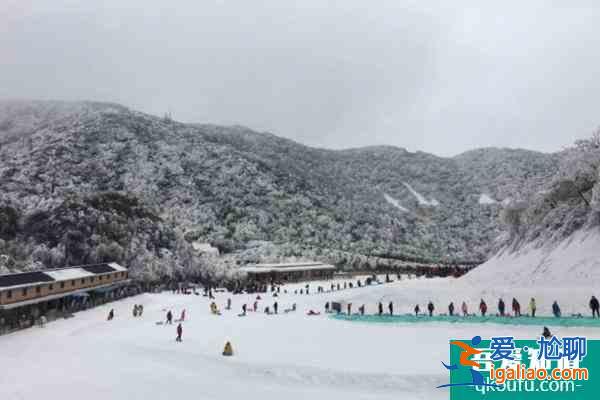 2021金佛山北坡滑雪場開放時間+門票價格？