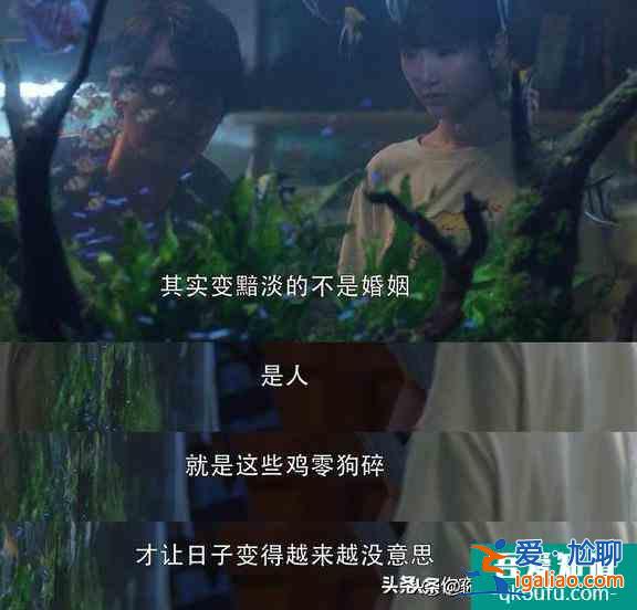 《三十而已》的經典臺詞，每一句都很現實，你被哪句扎了心？？