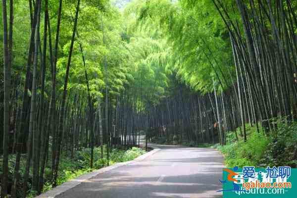 宜興竹海風景區親子游一日游路線推薦？