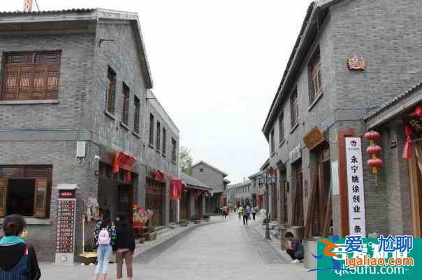 2021因改造南京侯沖風景區(qū)河岸花海景點暫時閉園？