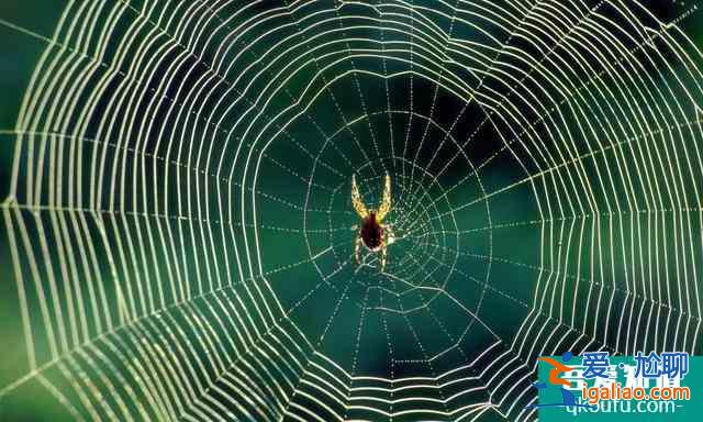 3分鐘看懂《勝算》格局：柳云龍的諜戰劇，不玩送情報這種小把戲？