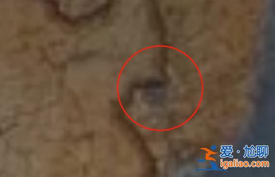 俄杜馬更新地圖 將中俄界湖興凱湖全劃入俄境內?假的? 俄杜馬更新地圖 將中俄界湖興凱湖全劃入俄境內?假的?