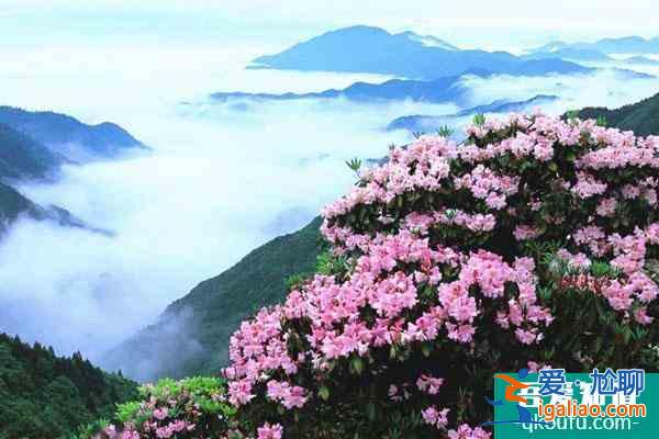 2022天臺山華頂景區(qū)因受天氣影響暫停對外開放通知？