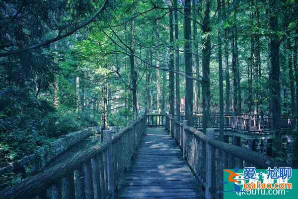 2022天臺山華頂景區(qū)因受天氣影響暫停對外開放通知？