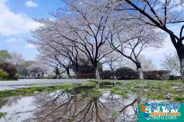 無錫紅沙灣生態園好玩嗎？