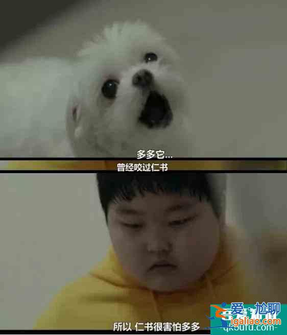都來看看！韓國人又拍了一個咱們寫不出來的劇？