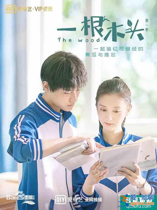 泉莊籍導演江濤邀您上線愛奇藝，共賞網劇《一根木頭》？
