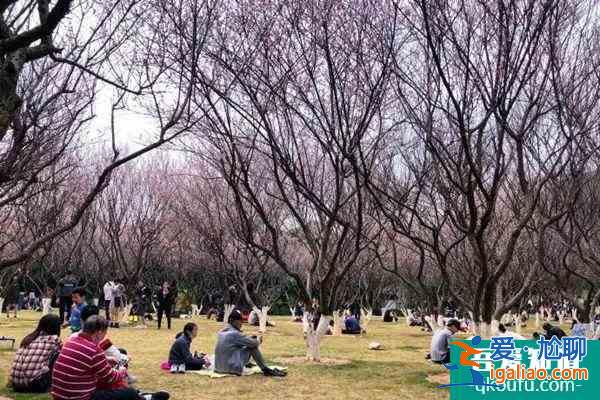 廣州春季哪里好玩 廣州春季旅游的好去處？