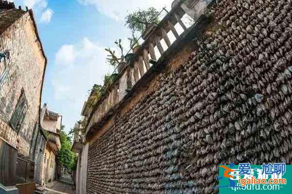 廣州春季哪里好玩 廣州春季旅游的好去處？