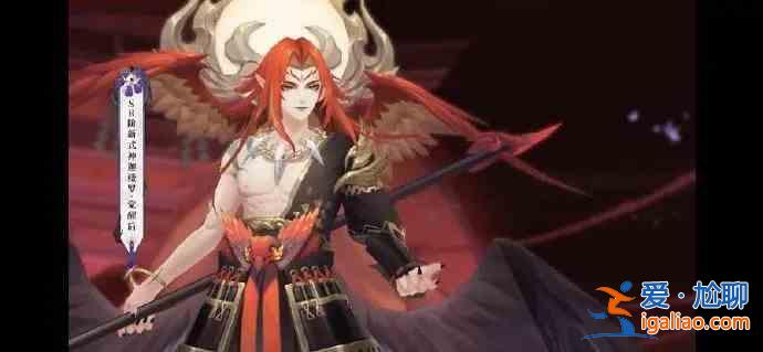 陰陽師迦樓羅如何培養？迦樓羅培養指南與建議？