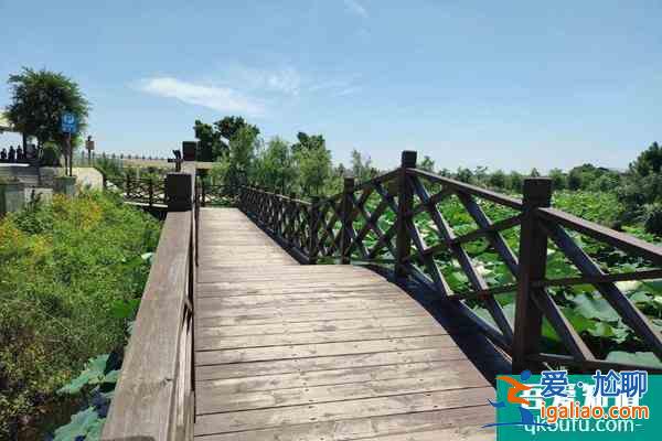 閩江河口濕地公園開(kāi)放時(shí)間及門票？