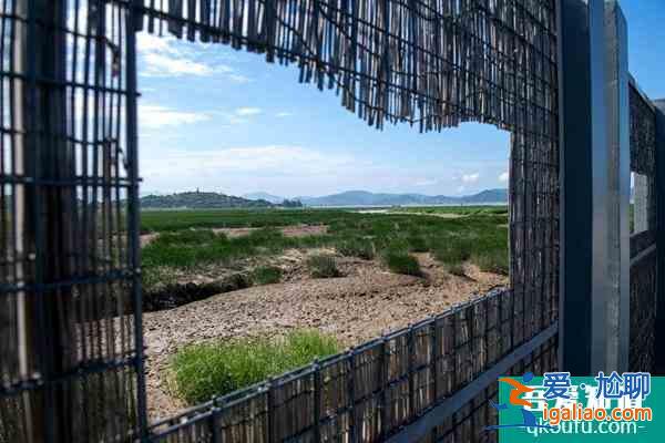 閩江河口濕地公園開(kāi)放時(shí)間及門票？